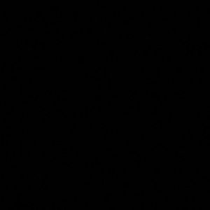 Meet your Posher, Zaynb